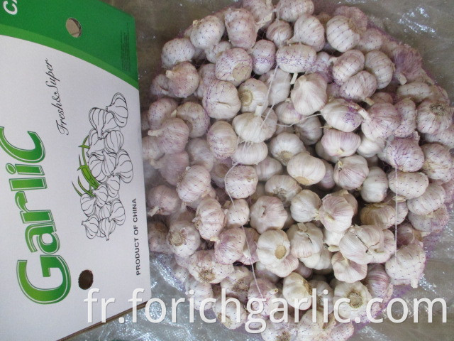 Fresh Normal White Garlic From Jinxiang